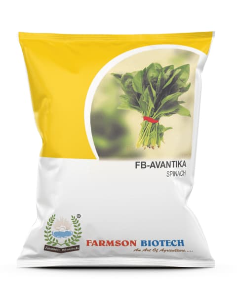 Farmson FB Avantika Spinach Seeds, Vigorous Growth, Dark Green Leaves, Early Maturing - Image 1