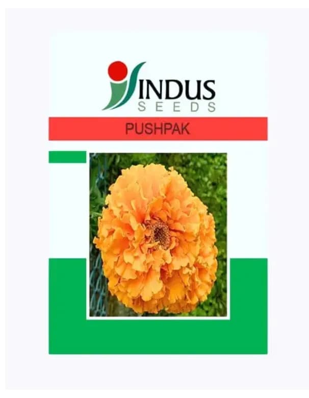 Indus Pushpak F1 Hybrid Marigold Seeds 1000 SD + 300 SD Free Pack - Image 1