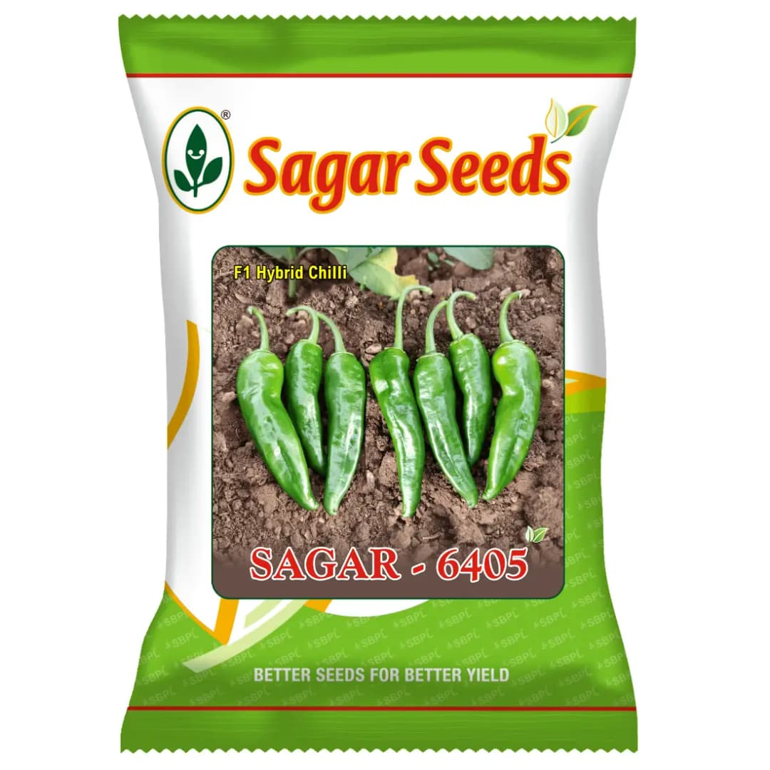 Sagar 6405 F1 Hybrid Chilli Seeds, Medium Green, High Yield, Export Quality, Pest Resistant