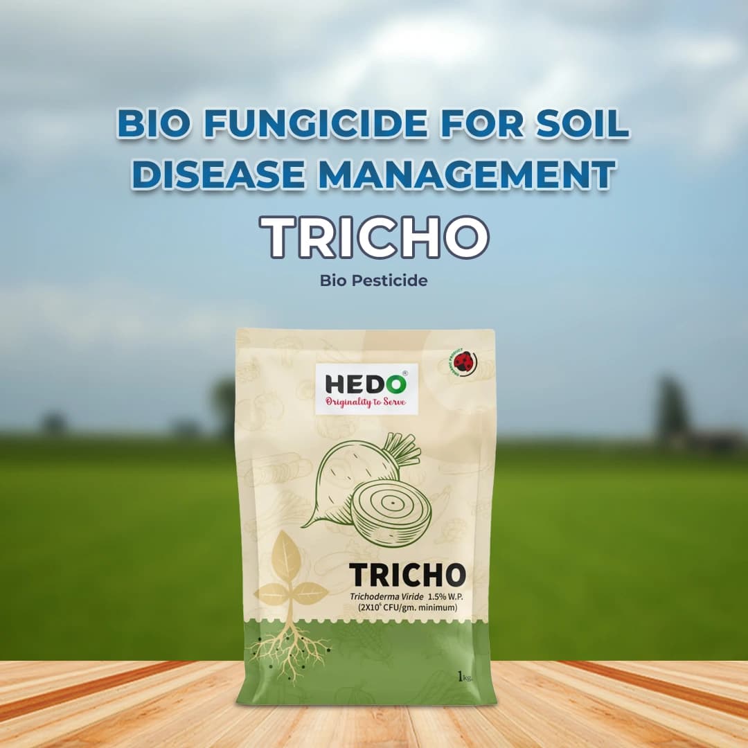 HEDO Tricho Trichoderma Viride 1.5% WP Bio Pesticide, Control A Wide Range of Soil And Seed Borne Fungal Diseases - Image 2