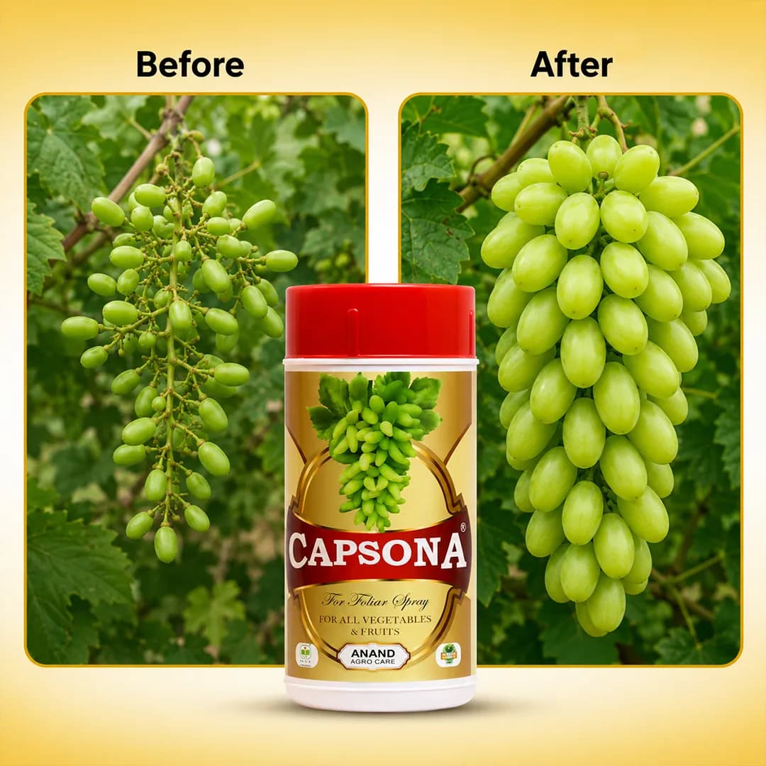 Anand Agro Capsona Growth Enhancer, Cell Elongation, Increase In Size and Length - Image 2
