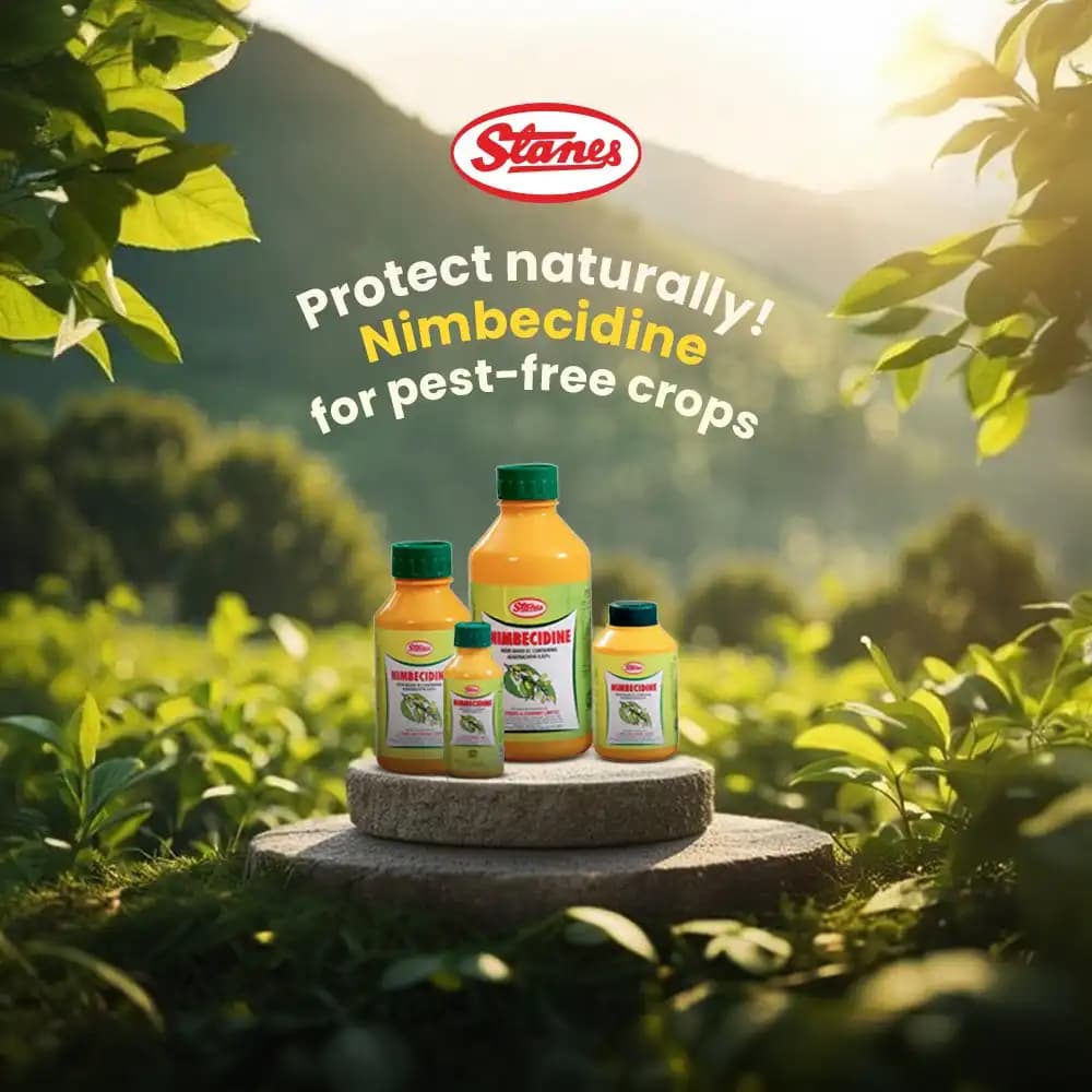 T.Stanes Nimbecidine 300 PPM Neem Oil Insecticide, Neem Based Botanical For Pest Control - Image 5
