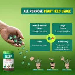 BloomBuddy All Purpose Plant Feed Granules, Organic Slow-Release Fertilizer with NPK & Micronutrients 5