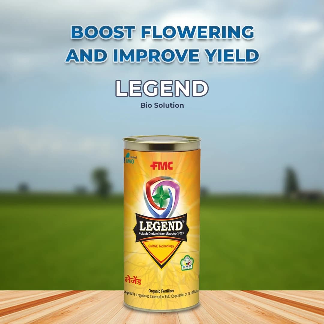 FMC Legend Bio Solution - Used For Better Flowering And Fruiting Of Crops. - Image 2