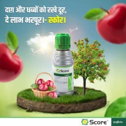 Syngenta Score Fungicide 2