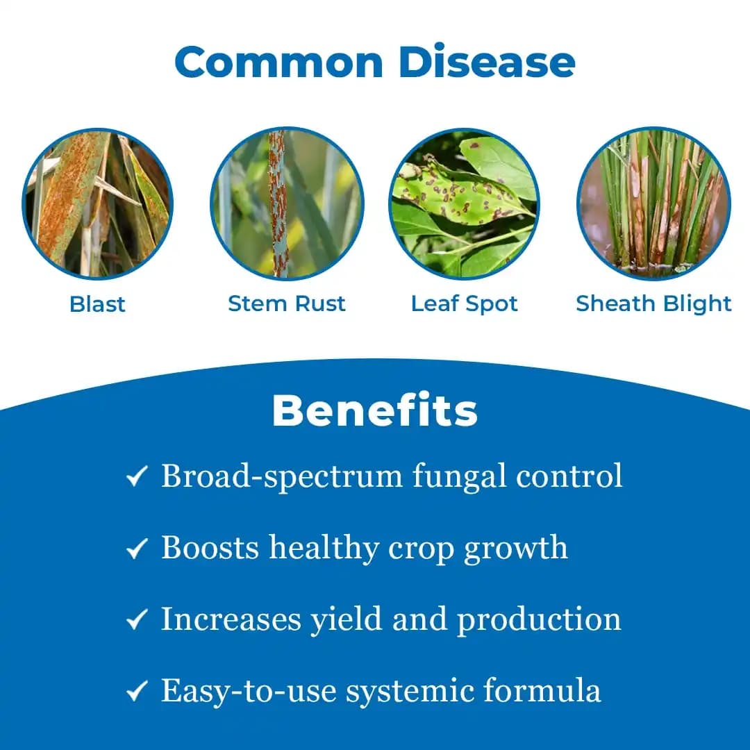 टिल्ट (प्रोपिकोनाज़ोल 25% ईसी) फफूंदनाशक, यह एक व्यापक-रेंज प्रणालीगत फफूंदनाशक है। - Image 3