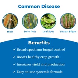 टिल्ट (प्रोपिकोनाज़ोल 25% ईसी) फफूंदनाशक, यह एक व्यापक-रेंज प्रणालीगत फफूंदनाशक है। 3