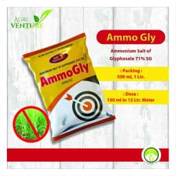 Agriventure Ammogly Ammonium Salt of Glyphosote 71% SG Herbicide for the Control of Annual Perennial, Broadleaf and Grassy Weeds 3