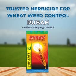 Parijat Rubah Clodinafop Propargyl 15% WP, Post Emergent Herbicide, Best For Wheat Crop. 2