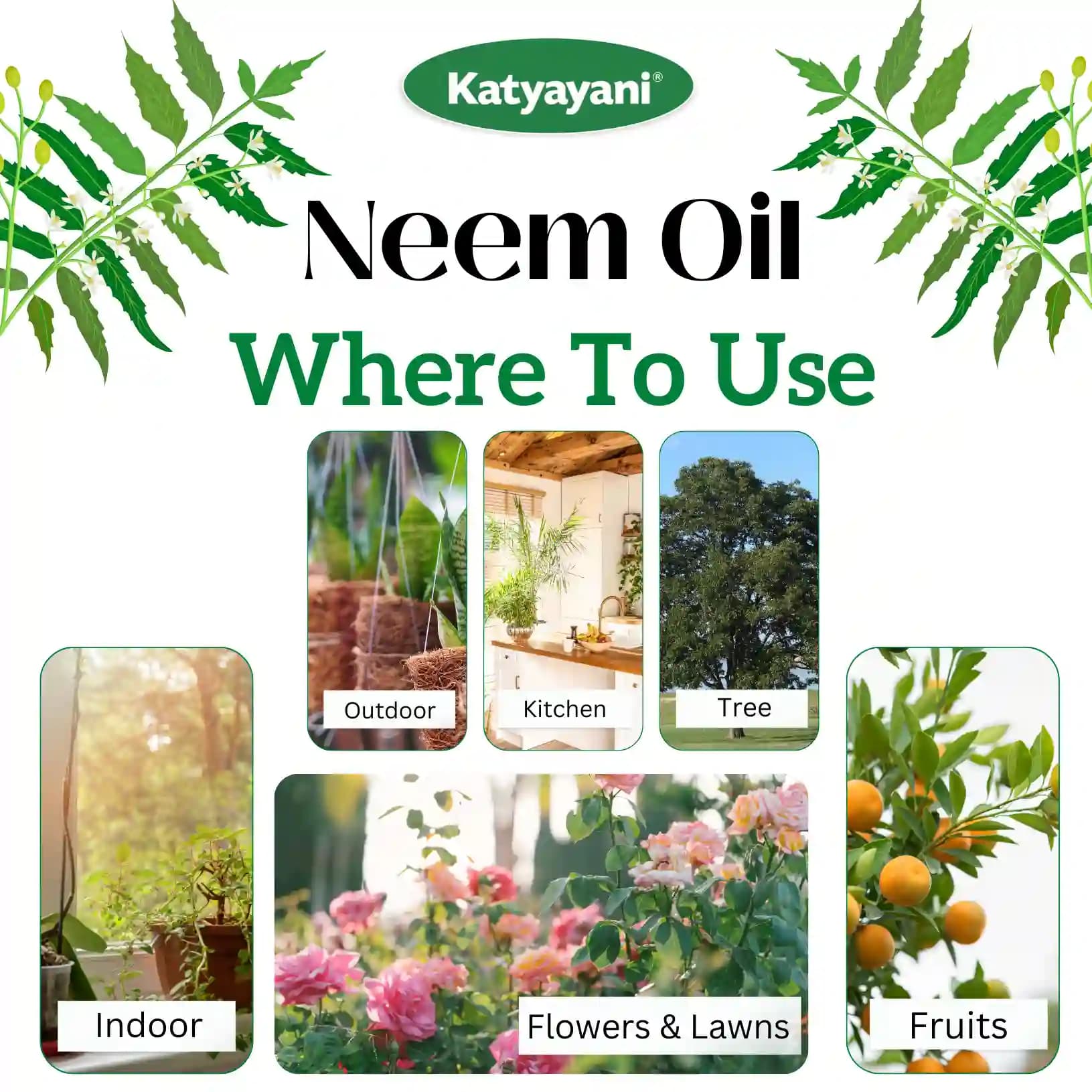 Katyayani Activated Neem Oil, Azadiractin Indica, 100% Organic Pesticide Derived From Cold Pressed Neem Oil - Image 6