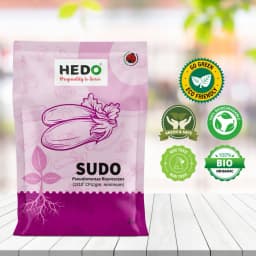 HEDO Sudo Pseudomonas Fluorescence Powder, Bio Fungicide For Agriculture, Garden & All Crops To Control Fungal Disease & Soil Borne Disease 5