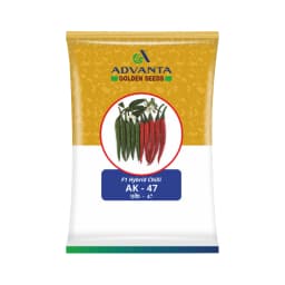 Advanta AK-47 F1 Hybrid Chilli Seeds, Mirchi Ke Beej, Deep Red & Dark Green, Dual-Purpose & Tolerance to LCV. 1