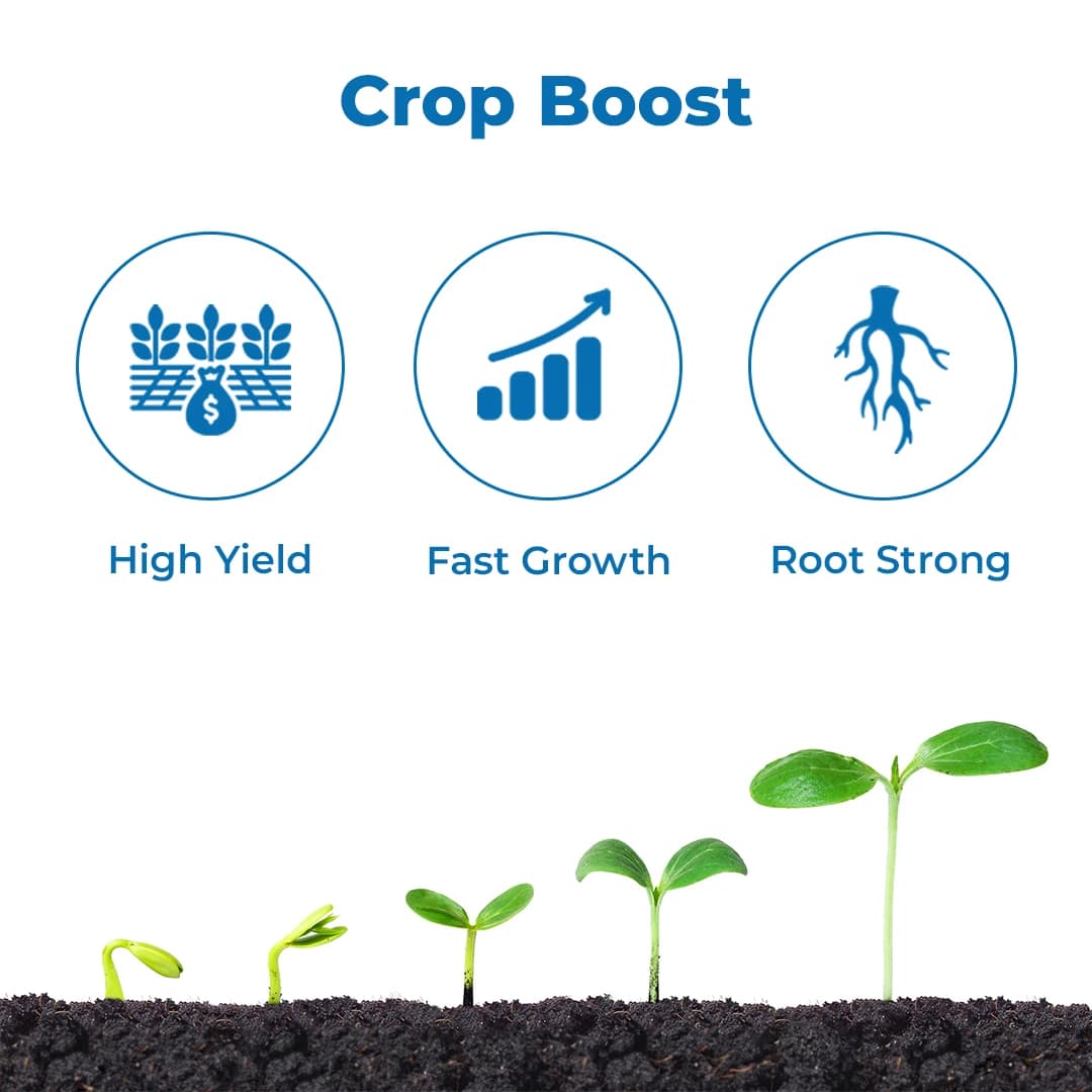 NPK Easy NPK 08:08:08 Quick Availability of Macro Nutrients to Crops, Improves Yield of Crops, Best for Sugarcane - Image 3