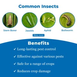 EBS Kavach Fipronil 5% SC Insecticide, Use On Paddy, Cotton, Chilli, Cabbage, And Sugarcane Crops For Sucking And Chewing Pests 3