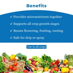 Coromandel Superia Micronutrients Fertilizer, Superior Plant Nutrition For Foliar Application 4