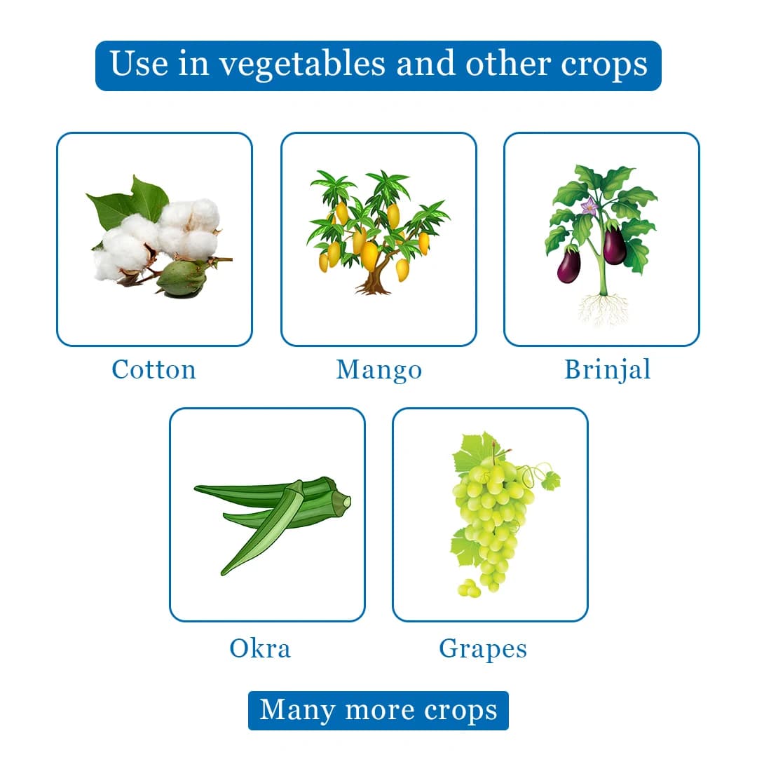 Bayer Movento Energy Insecticide - Image 4