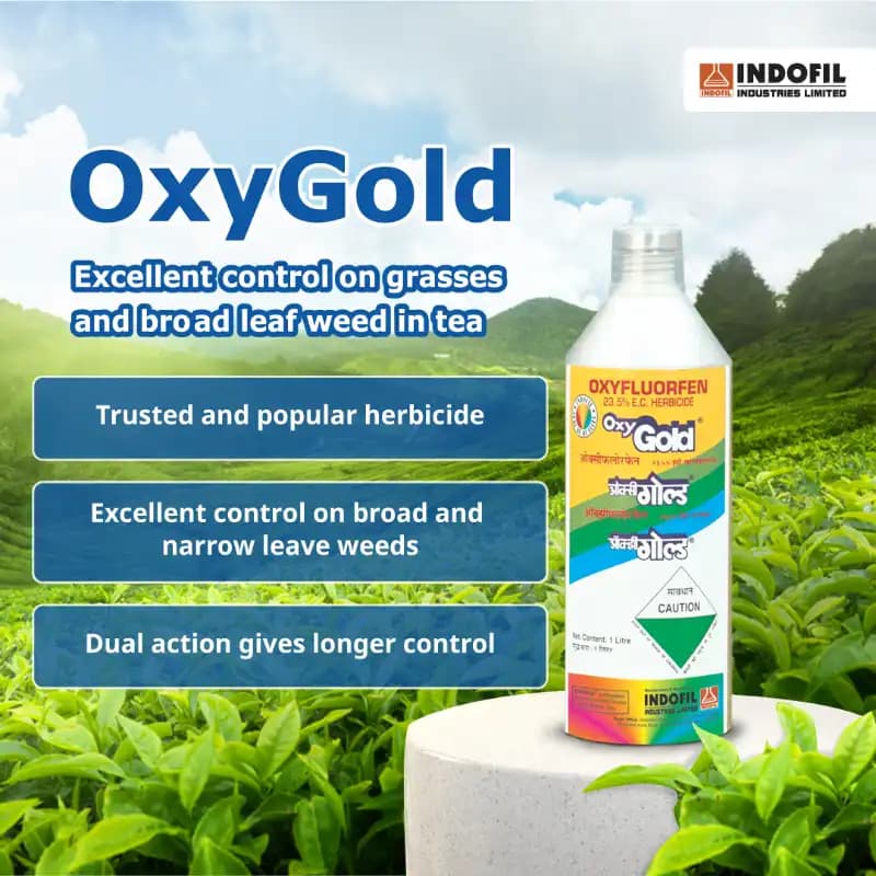Indofil Oxygold Oxyfluorfen 23.5% EC Herbicide, Pre and Early Post Emergence - Image 2