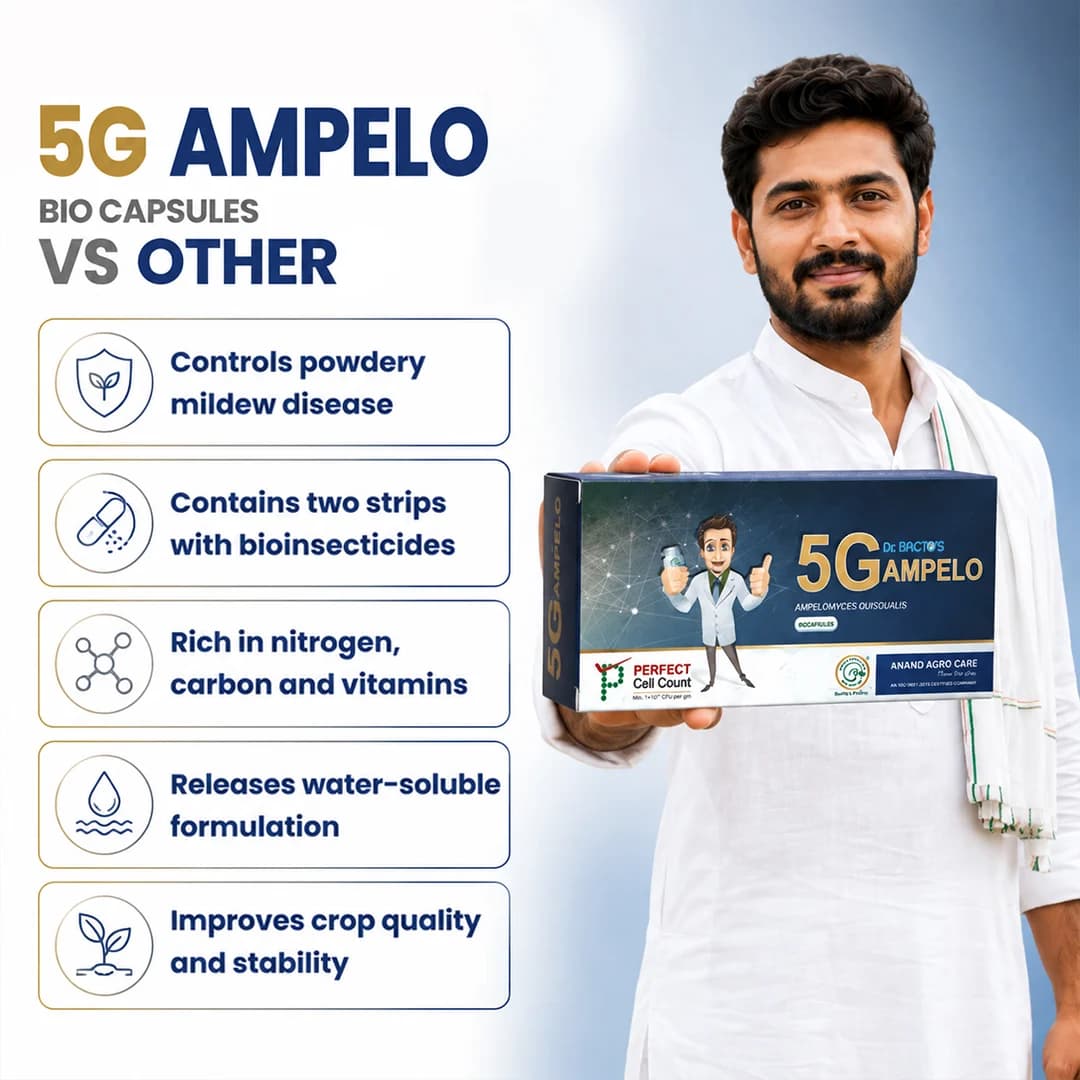 Dr. Bacto\'s 5G Ampelo Bio Capsules Is A Naturally Occurring Hyper Parasite Bio-Fungicide Used For The Control Of Powdery Mildew Disease. - Image 2