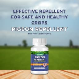 Katyayani Pigeon Repellent Non-Toxic Liquid Solution, Effective For Agricultural Area, Garden, and Household 2