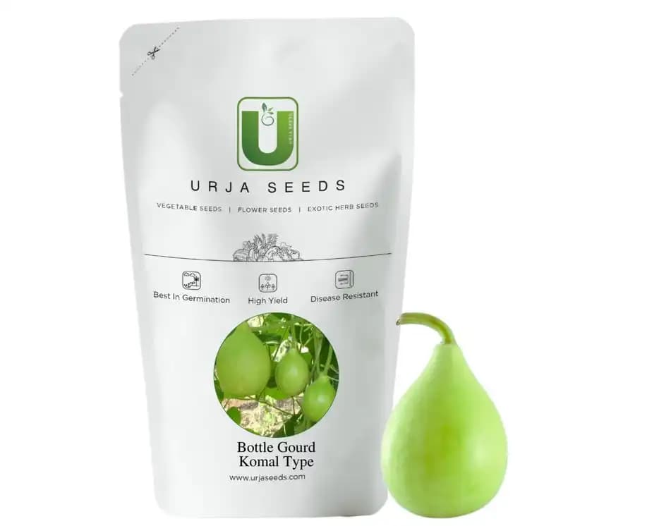 Urja Bottle Gourd F1 Hybrid BGHS 355 Komal Type, Dark Green Deep Green Ridged Fruits