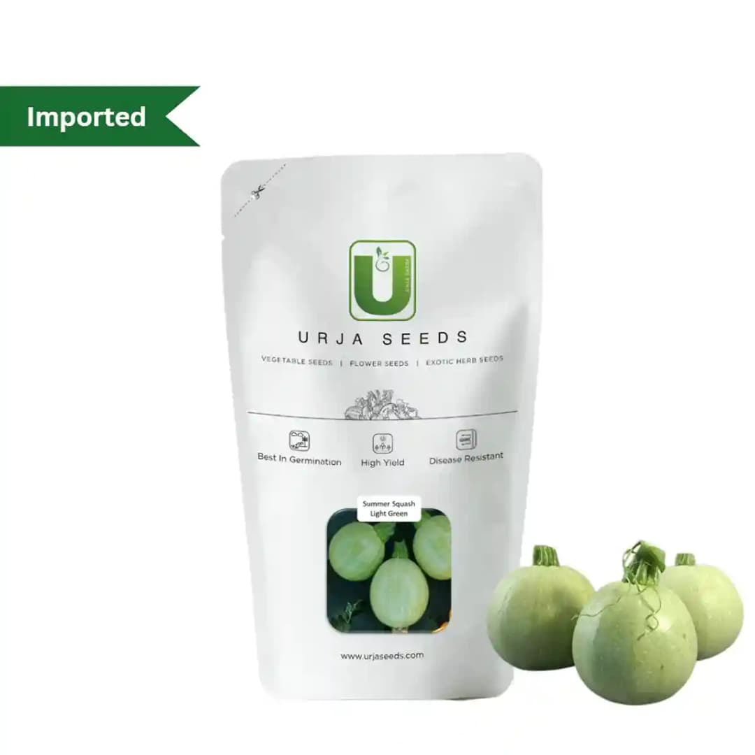 उर्जा यूएस 515 एफ1 हाइब्रिड ग्रीष्मकालीन स्क्वाश बीज, (हल्का हरा) गोल हल्का हरा थोड़ा धब्बेदार.