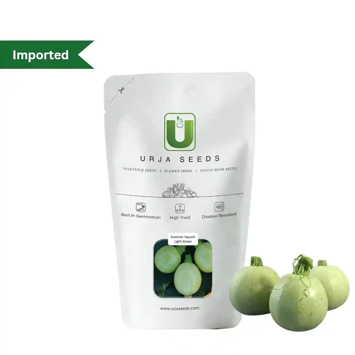 Urja F1 Hybrid US 515 (Light Green) Summer Squash Seeds, Roundish Light Green Slightly Mottled