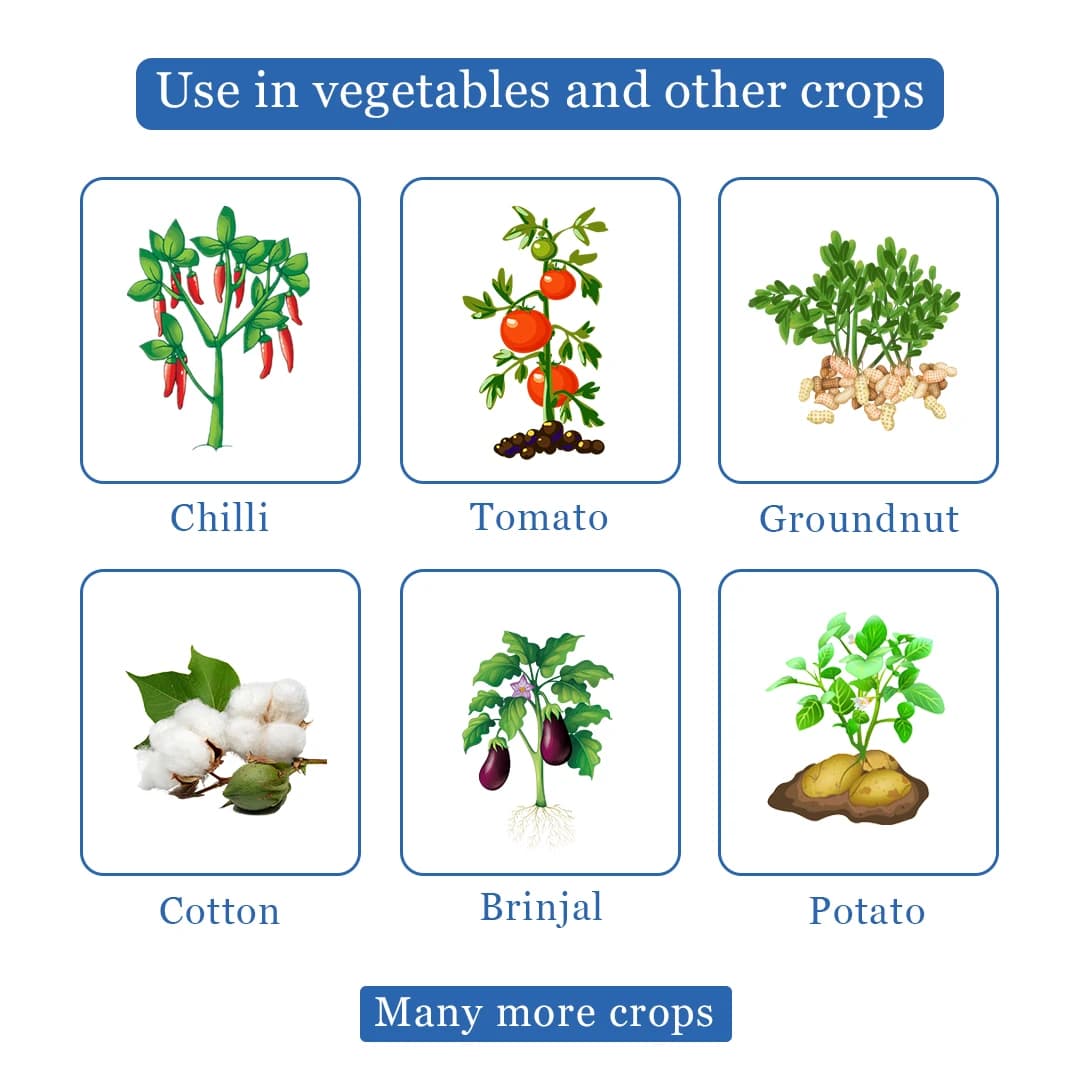 Texan Insecticide - Thiamethoxam 25% WG - Image 4