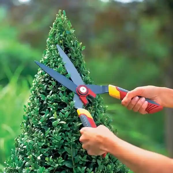 Wolf Garten Hedge Shears (HS-B), Specially Designed To Be Used On Box Trees And Other Topiary Plants - Image 5