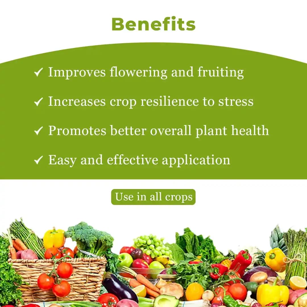 HPM Super Sonata (Plant Growth Regulators) Promotes Flowering and Reduces Flower Drop, Improves Fruit and Grain Quality - Image 4