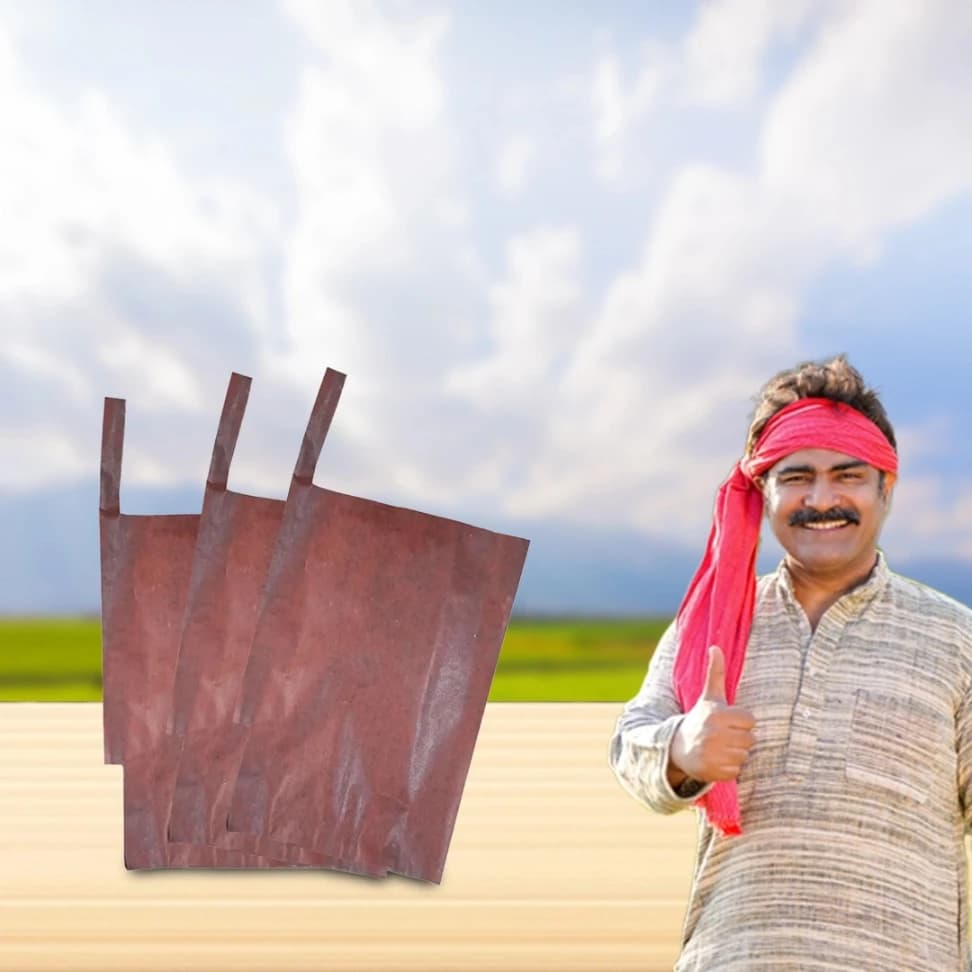 Radhe Mango Protection Bag - Image 5