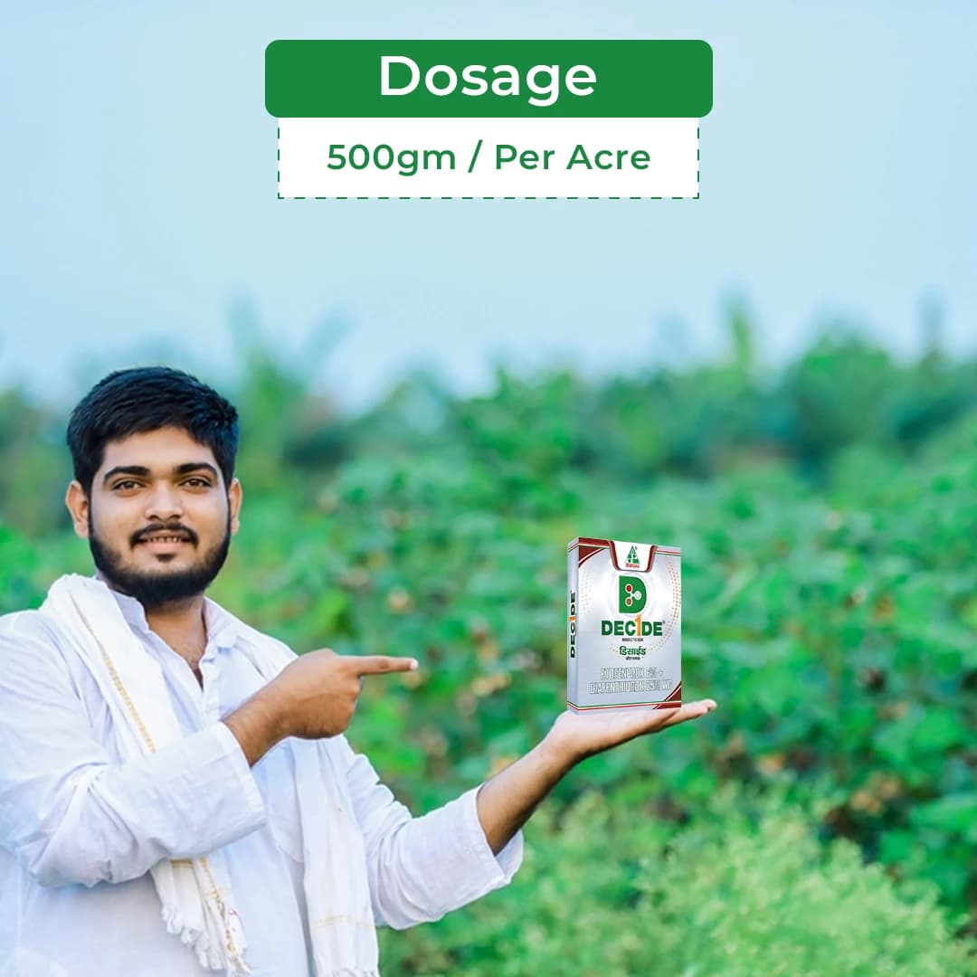 Dhanuka DECIDE Etofenprox 6% + Diafenthiuron 25% WG Insecticide, Broad Spectrum, Effective For Mites, Thrips, Whitefly And Sucking Pests - Image 5