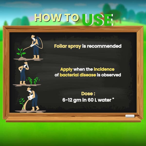 Katyayani KMYCIN Antibiotic Chemical Bacterial Fungicide, Effective Bacterial Disease Control, Preventive & Curative Foliar Spray - Image 5