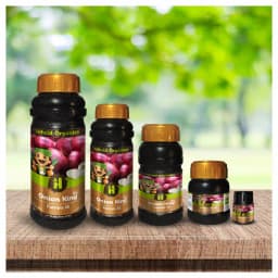 Hifield Onion King Growth Promoter for Onion Phosphorus Up Take and Big Size Onion. 4