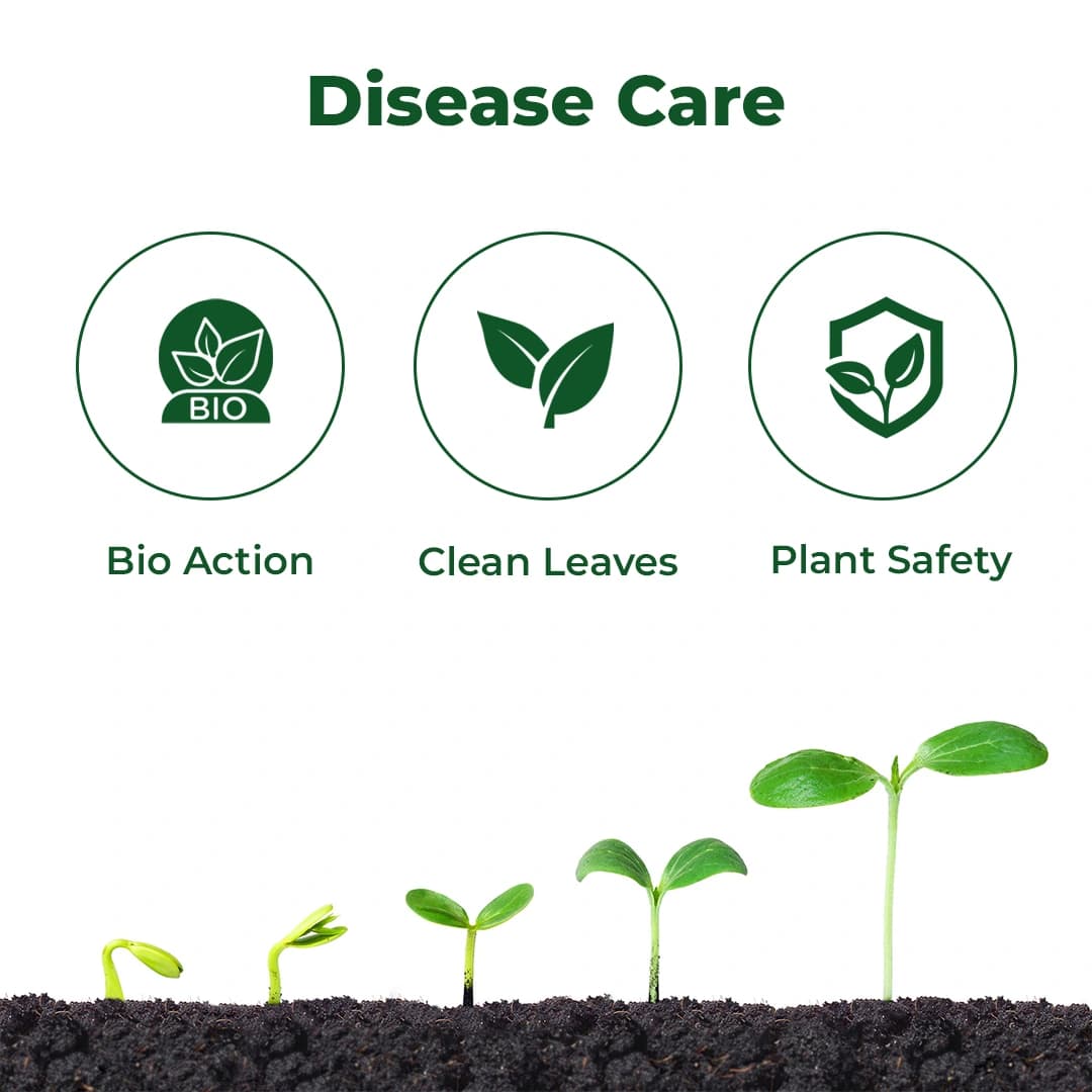 ईबीएस बैसिलस सबटिलिस - जैव फफूंदनाशक, पौधों और घर के बगीचे के लिए डाउनी फफूंद, पाउडरी फफूंद और जीवाणु रोगों को नियंत्रित करें - Image 3