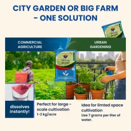 Utkarsh NPK (19:19:19) (Crystalline 100% Water Soluble Complex Fertilizer), Best Drip Irrigation Fertilizer 5