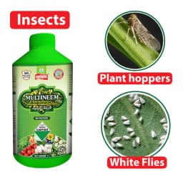 Multiplex Multineem (Neem Oil Based E.C) Azadirachtin 0.03% Bio Insecticide, Effectively Controls Leaf-Eating Caterpillars as Well as Sucking Pests. 2