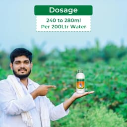 Crystal Monceren Pencycuron 22.9% SC, Non-Systemic Contact Fungicide, Used As Foliar Spray 5