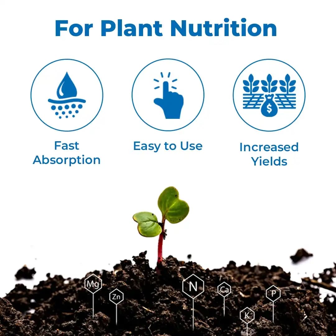 NPK 19:19:19 Water Soluble Fertilizer, 100% Water Soluble, Contain Nitrogen, Phosphorus And Potassium. - Image 3