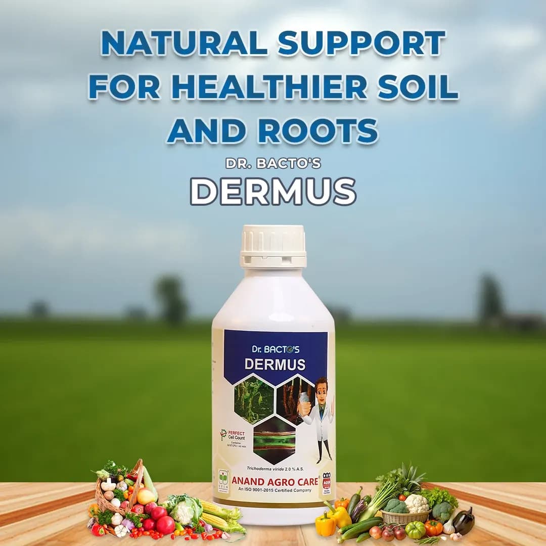 Dr. Bacto\'s Dermus (Trichoderma Viride) Use Soil Application, Seed treatment, and Foliar Spray - Image 2