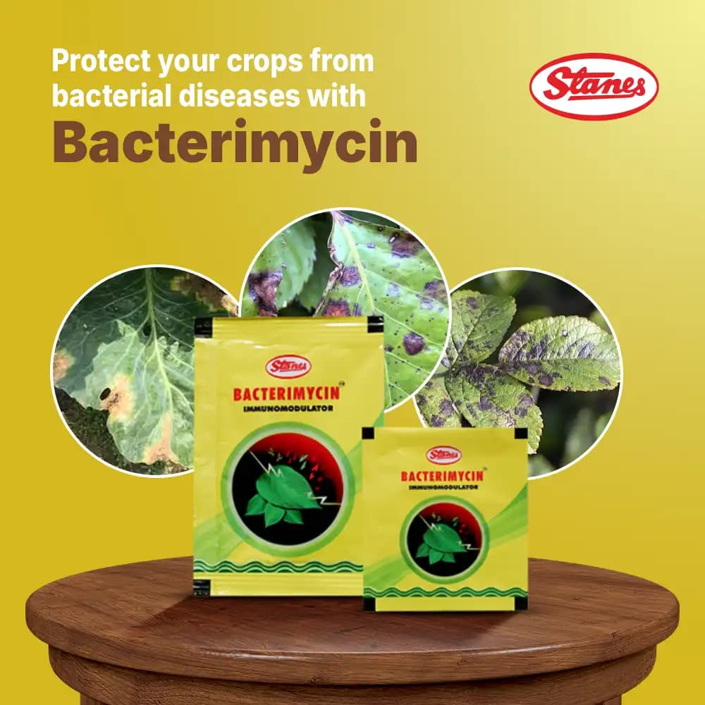 T-Stanes Bacterimycin, Broad-Spectrum Immunomodulator, Protect Your Crops From Bacterial Disease - Image 2