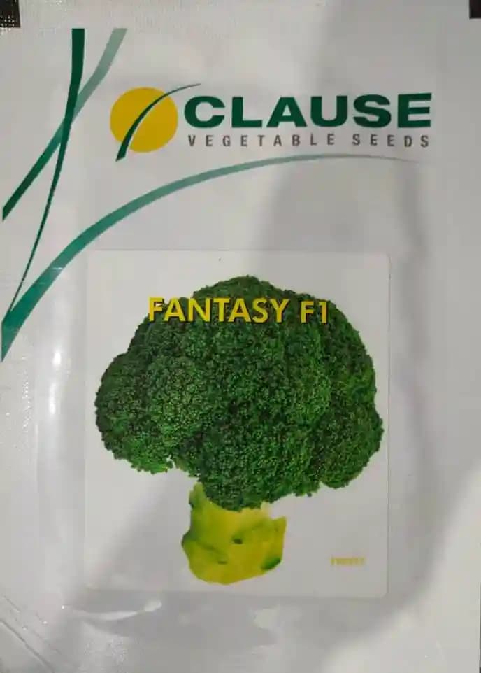 H.M Clause Fantasy F1 Hybrid Brocolli Seeds , Dark Blue-Green Broccoli, Rabi Season, Bluish Green Curd Color - Image 1