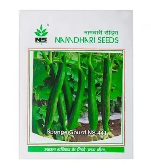 Namdhari Sponge Gourd Ns 441 Hybrid Seeds, Attractive Dark Green, Cylindrical Fruits