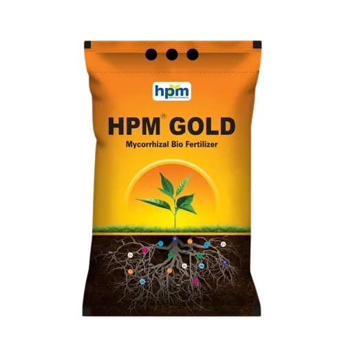 HPM GOLD (Vesicular Arbuscular Mycorrhiza) Bio Fertilizer, Boosts Plant Health And Growth, Ensuring Better Yield.