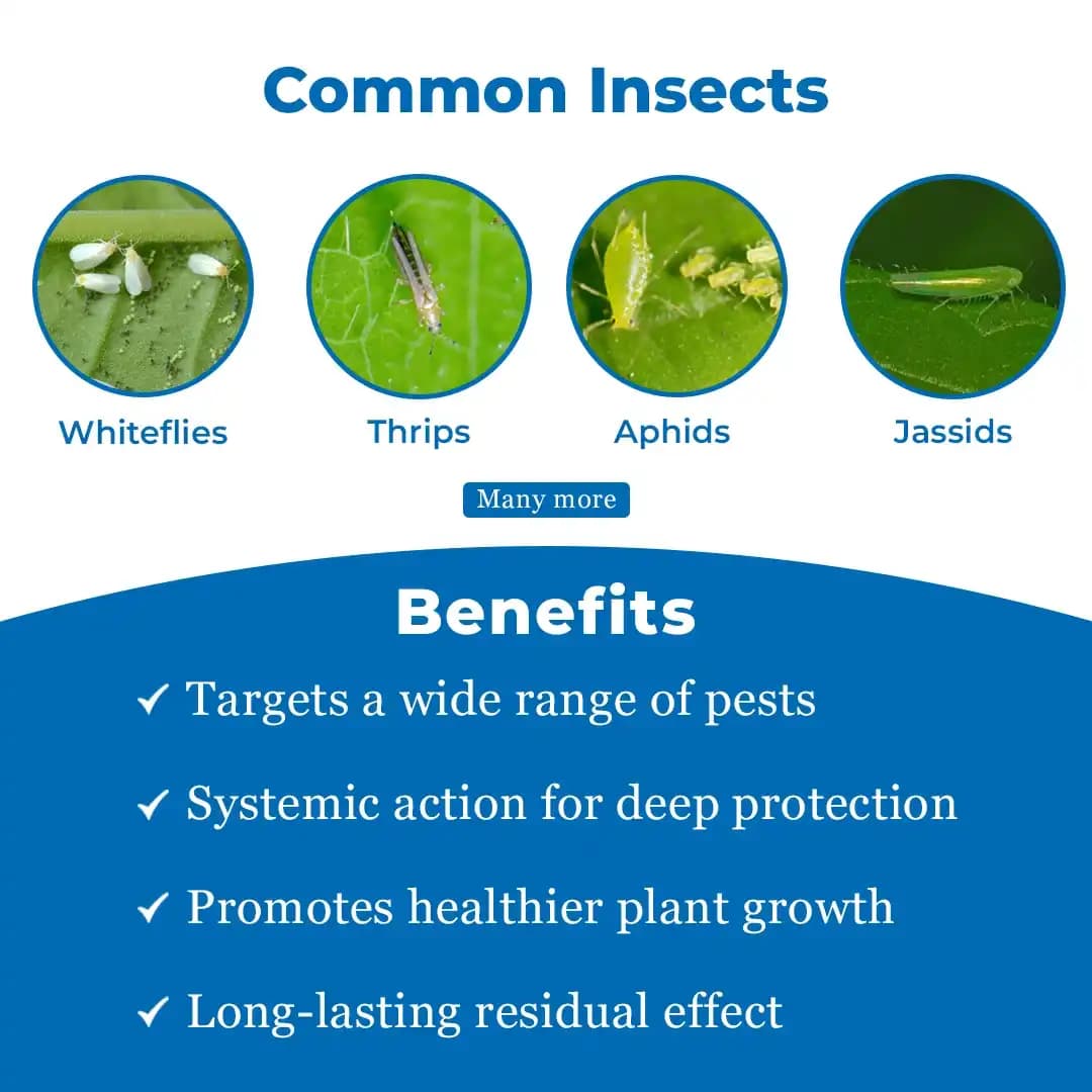 बीएसीएफ बीप्राइड - एसिटामिप्रिड 20% एसपी. प्रणालीगत कीटनाशक, कपास, सब्जी और फलों की फसलों के लिए सर्वश्रेष्ठ - Image 3