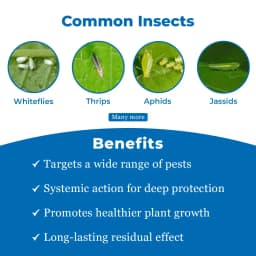 बीएसीएफ बीप्राइड - एसिटामिप्रिड 20% एसपी. प्रणालीगत कीटनाशक, कपास, सब्जी और फलों की फसलों के लिए सर्वश्रेष्ठ 3