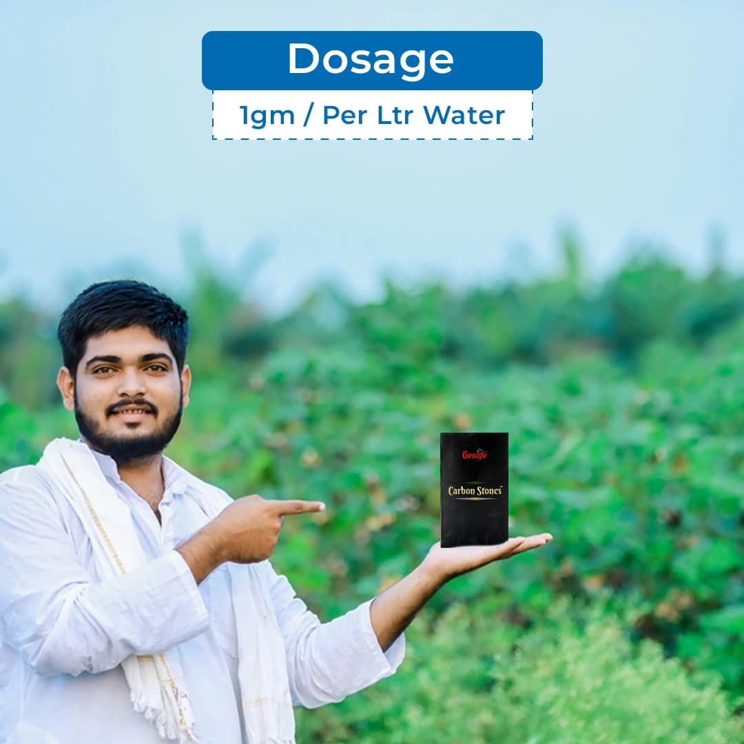 Geolife Carbon Stones Organic Fertilizer, Boost Soil Fertility Carbon for Soil and Plant Growth - Image 5