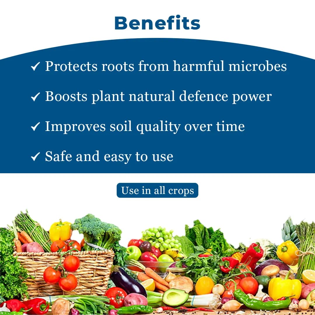 EBS Pseudomonas Fluorescence Bio Fungicide, Controlling Diseases Like Root Rot, Stem Rot, Collar Rot On All Crops - Image 5