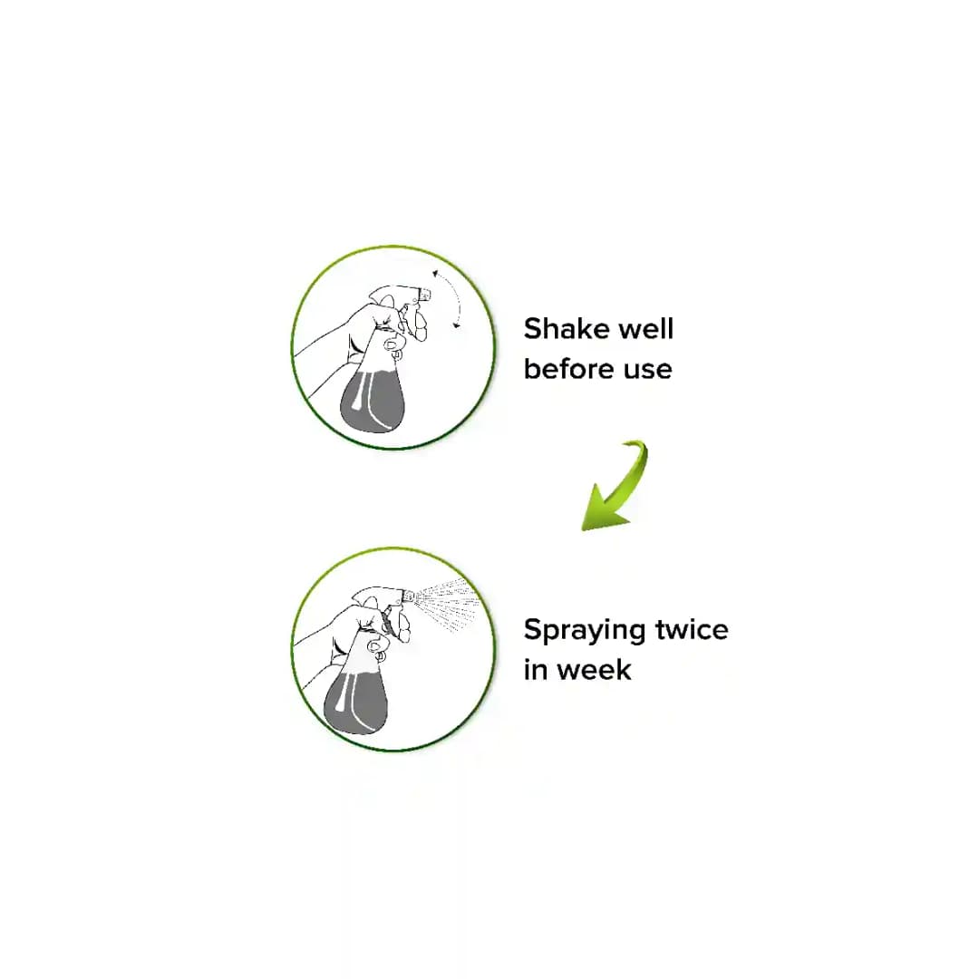 Green Era Fungo Guard Fungus Removal Organic, Ready to Use Liquid Spray for Plants - Image 3