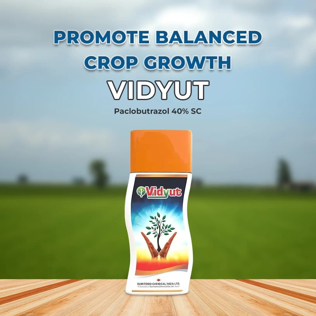 Excel Sumitomo Vidyut Paclobutrazol 40% SC, Plant Growth Promoter, For Enhancing Fruiting and Flowering - Image 2