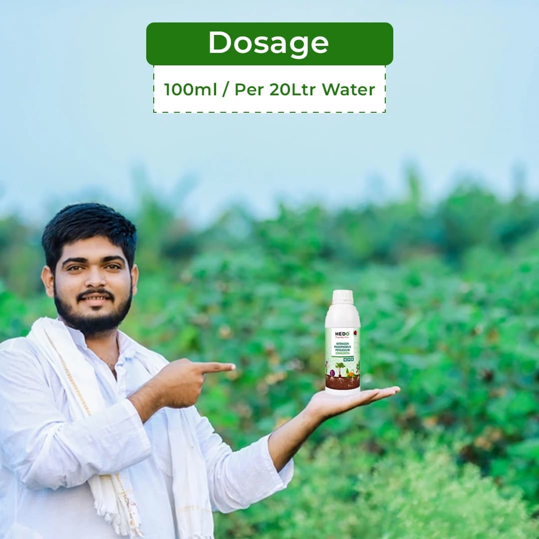 HEDO NPK Consortia (Bacteria) Liquid Bio Fertilizer For Agriculture, Garden, Soil Fertility And Plant Nutrition. - Image 5